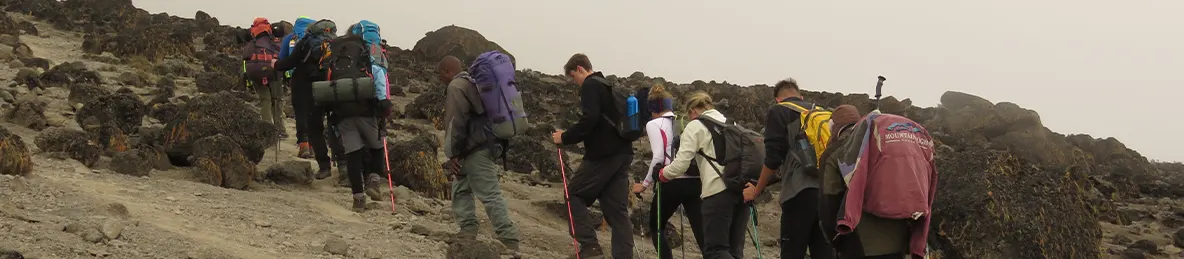 Kilimanjaro Machame Route, Lemosho Route, Umbwe Route