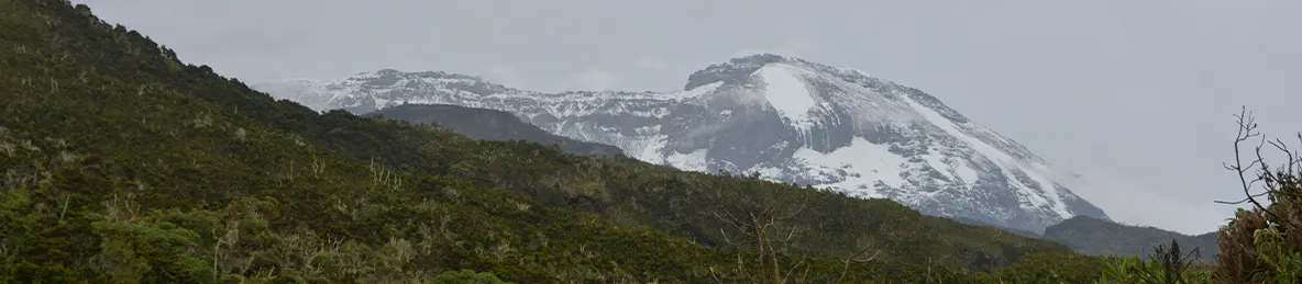 Kilimanjaro Machame Route, Lemosho Route, Umbwe Route