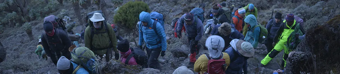 Kilimanjaro Machame Route, Lemosho Route, Umbwe Route
