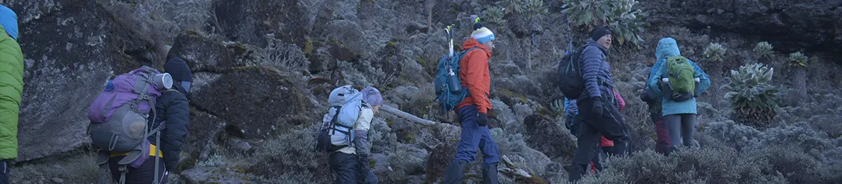 Kilimanjaro Machame Route, Lemosho Route, Umbwe Route