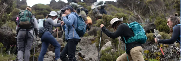 Continue Trekking Mt Kilimanjaro from Barranco Camp to Karanga Camp