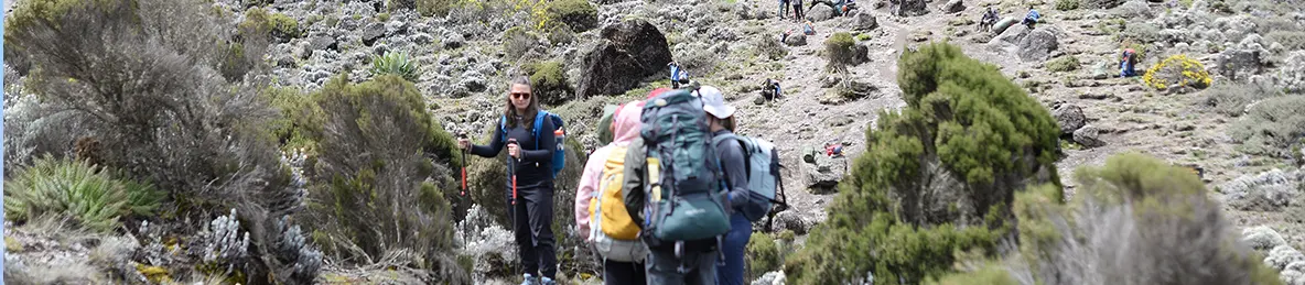 Kilimanjaro Machame Route, Lemosho Route, Umbwe Route