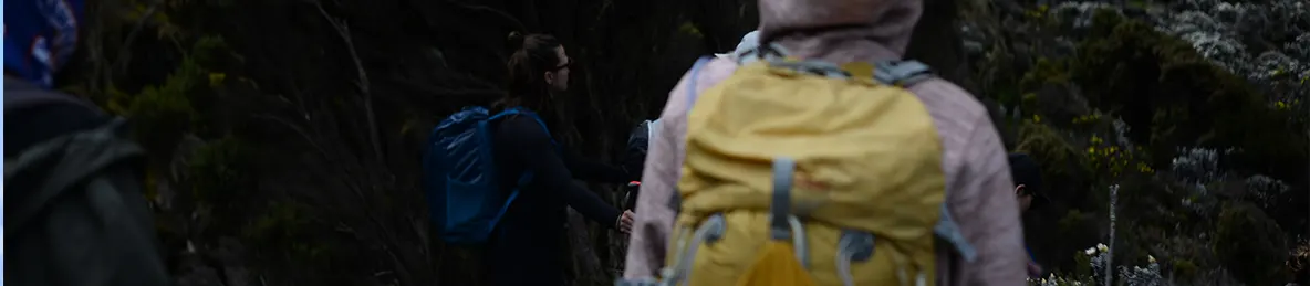 Kilimanjaro Machame Route, Lemosho Route, Umbwe Route