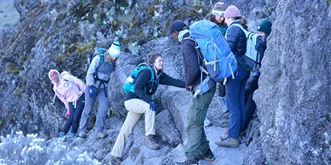 8 Days Wilderness Odyssey on Kilimanjaro Hiking Lemosho 