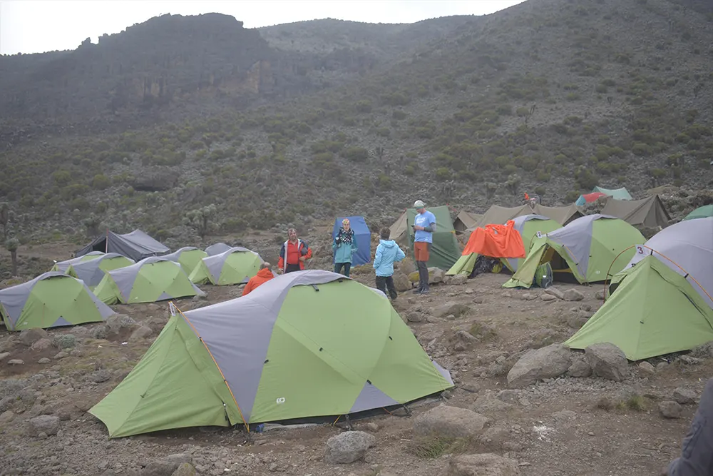 Barranco Campsite kilimanjaro