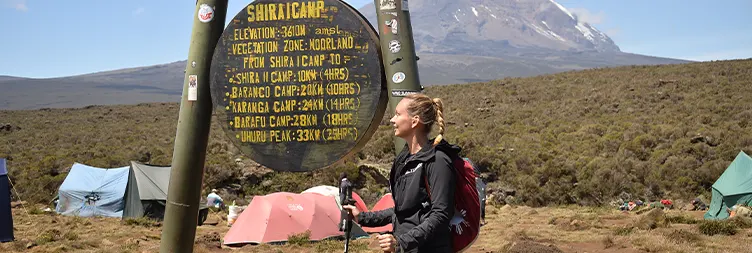 Mti mkubwa camp climb to Shira Camp 1