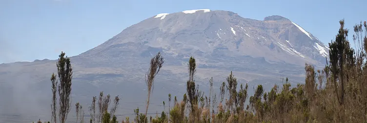 Mti Mkubwa â€“ Shira 1 Camp 