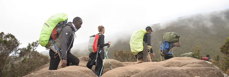 Hiking  Mti Mkubwa Camp to Shira 1 Camp