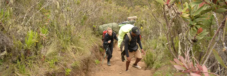 Mti Mkubwa â€“ Shira 1 Camp 