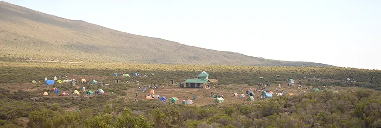 Mti Mkubwa Camp to Shira 1 Camp (11,500 ft). 