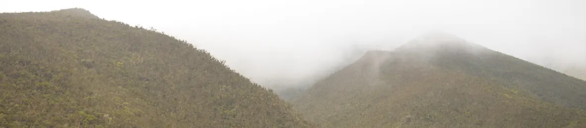 Kilimanjaro Lemosho Route, Northern Circuit Route