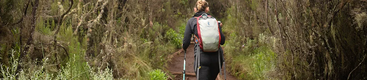 Kilimanjaro Lemosho Route, Northern Circuit Route