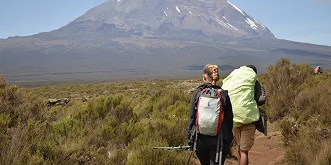 8 Days Kilimanjaro Trekking Adventure Lemosho Route