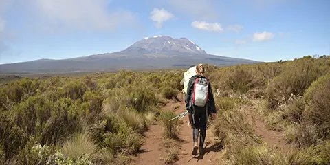 9 Days Savannah to Summit Northern Circuit Kilimanjaro