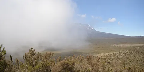 8 Days Kilimanjaro Hiking Northern Circuit Route