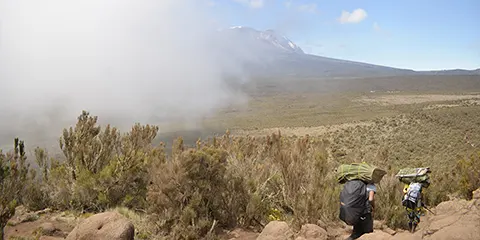 8 Days Lemosho Route Trekking Kilimanjaro Adventure