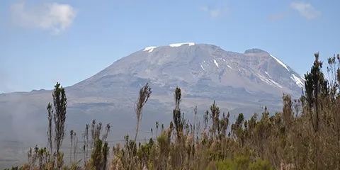 8 Days Alpine Adventure Lemosho Route Kilimanjaro Hiking