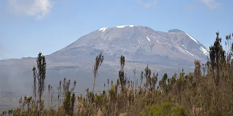 7 Days Summit Kilimanjaro Hiking Lemosho Route Adventure