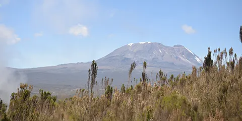 cover-8 Days Kilimanjaro Trekking Expedition Northern Circuit