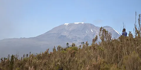 8 Days Footprints in Paradise Trip of Kilimanjaro Northern Circuit Trek