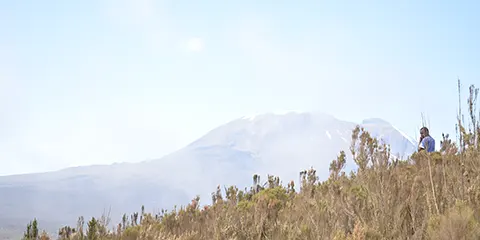 9 Days Majesty Kilimanjaro Hiking Northern Circuit Route