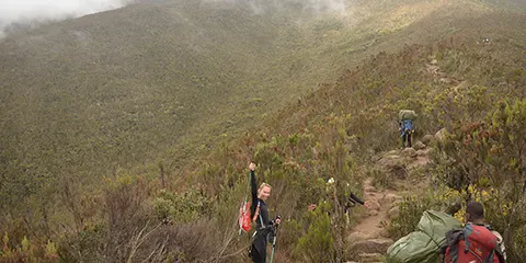 cover-8 Days Tanzania Kilimanjaro Hiking Tour Lemosho Route