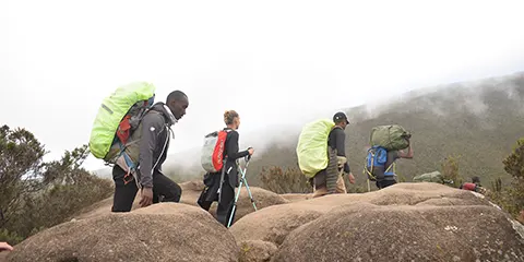 9 Days Northern Circuit Route Kilimanjaro Trekking 