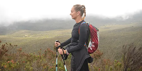 8 Days Northern Circuit Route Trekking Mt Kilimanjaro