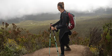 9 Days Kilimanjaro Exploring via Northern Circuit Route