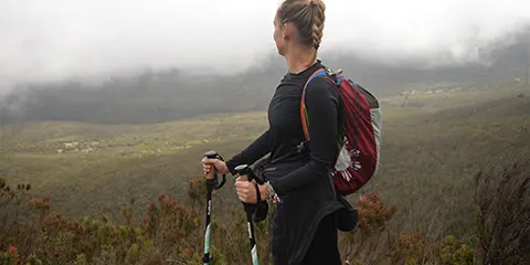 cover-7 Days Lemosho Route Kilimanjaro Hiking Tour