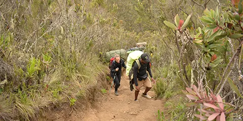 8 Days Trip of Kilimanjaro Northern Circuit Wilderness 