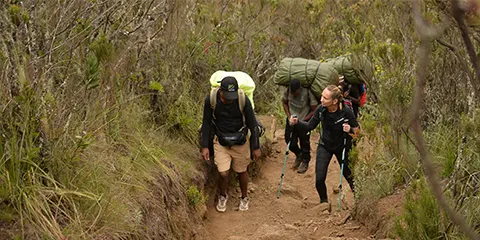 8 Days Kilimanjaro Hiking Lemosho Route Adventure