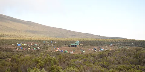 9 Days Kilimanjaro Trekking Chronicles Northern Circuit Route Expedition