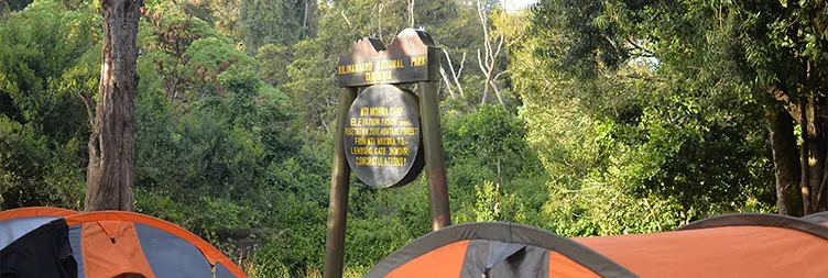 Climbing from Londorosi Gate to Mti Mkubwa