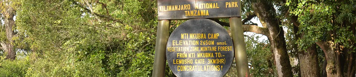 Kilimanjaro Lemosho Route, Northern Circuit Route