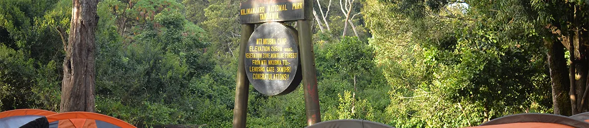 Kilimanjaro Lemosho Route, Northern Circuit Route