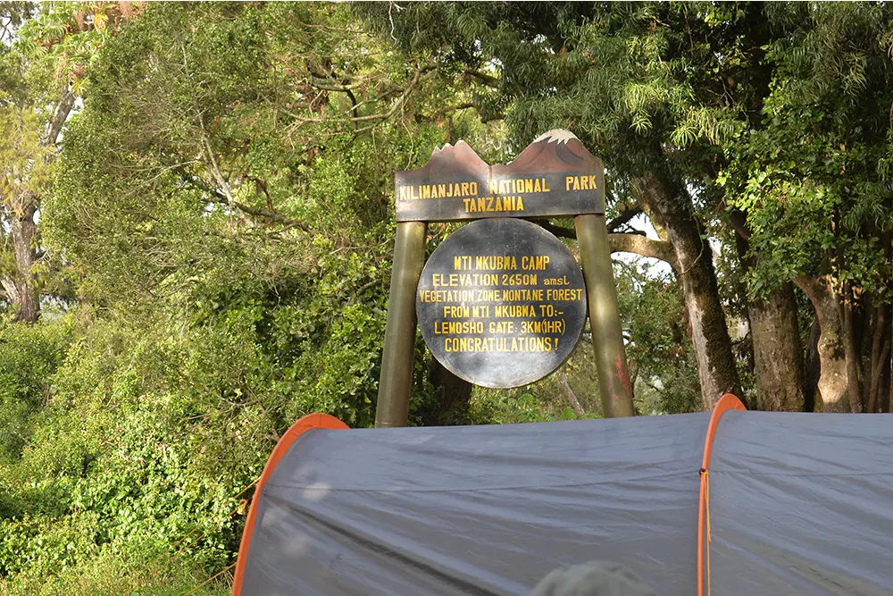 Big Tree (Mti Mkubwa) Campsite