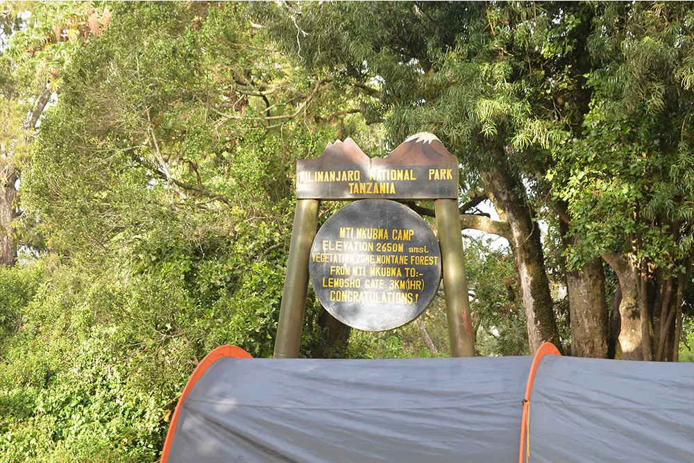 Big Tree (Mti Mkubwa) Campsite