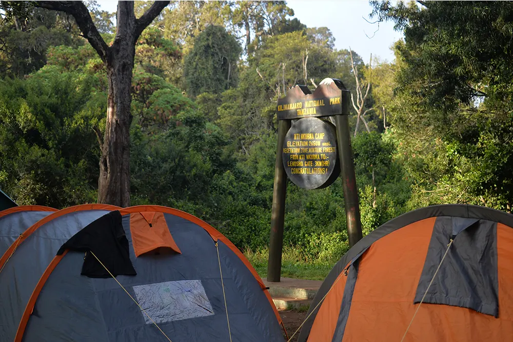 Big Tree (Mti Mkubwa) Campsite
