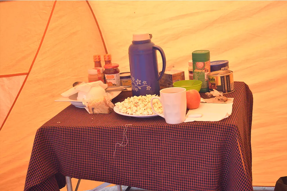 Big Tree (Mti Mkubwa) Campsite