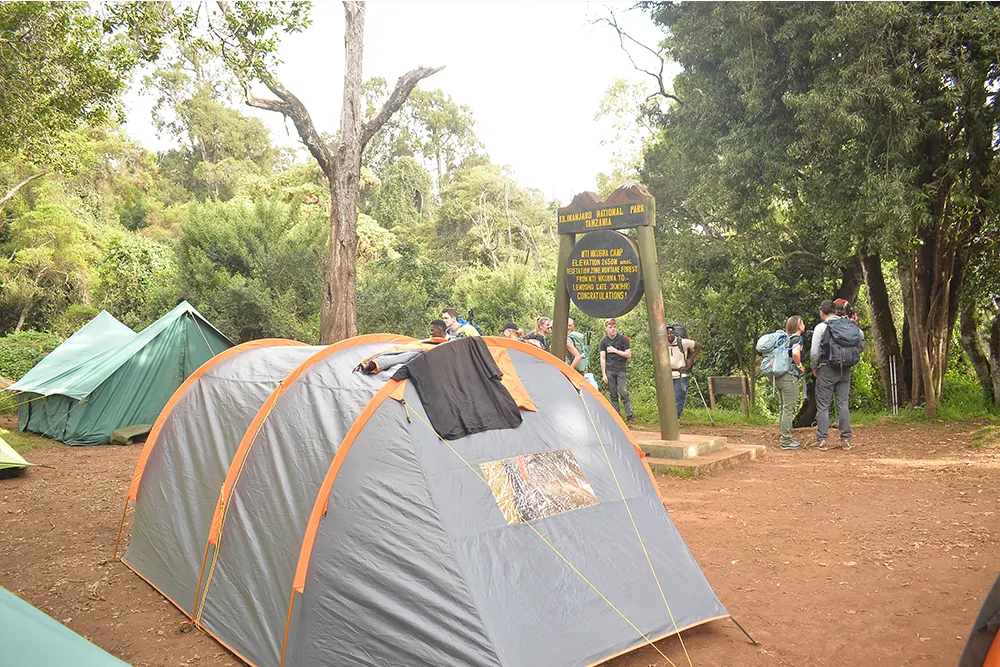 Big Tree (Mti Mkubwa) Campsite