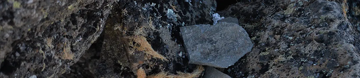 Kilimanjaro Northern Circuit Route