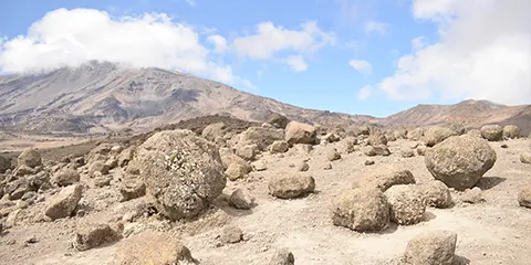 8 Days Summit Symphony Northern Circuit Route Kilimanjaro