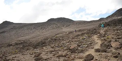 8 Days Northen Circiut Rout Kilimanjaro Hiking