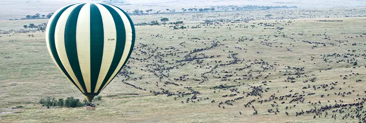 Serengeti Hot Air Balloon Safari and Departure