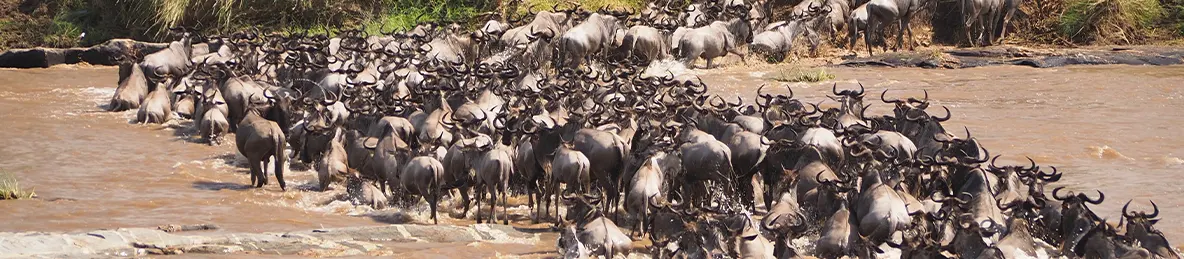 Serengeti National Park - Northern