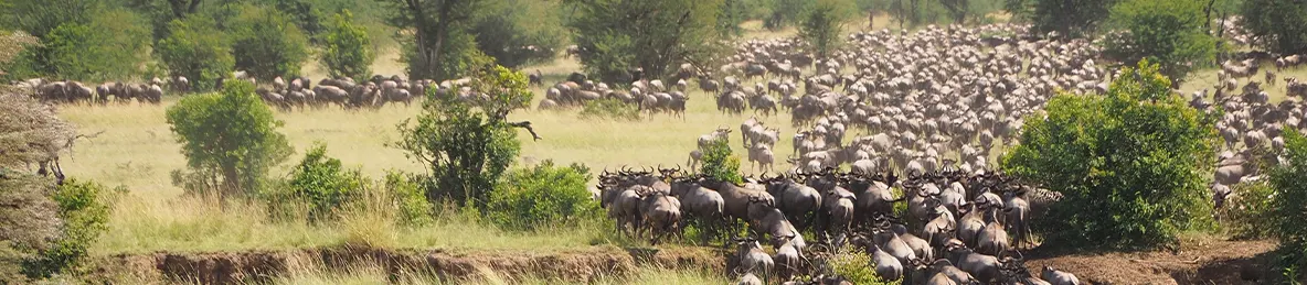 Serengeti National Park - Northern