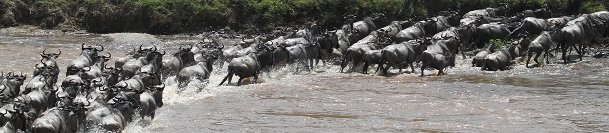 Serengeti National Park - Northern