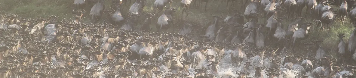 Serengeti National Park - Northern