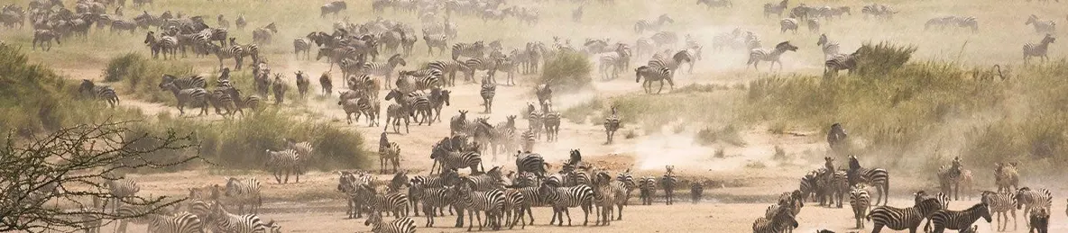 Serengeti National Park - Northern